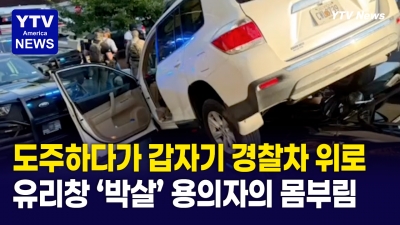순찰차 위로 차량이 '쿵' ...경찰차 위로 올라온 도주차량