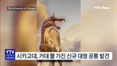 새로운 '대형 공룡' 발견. 거대 포식자로 100년만에 ... ‘지옥의 왜가리' 시카고대학 연구팀