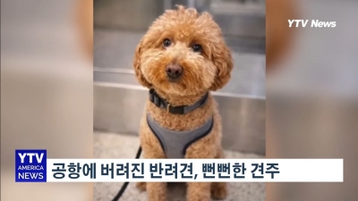 '반려견' 때문에 탑승 거부당해, 공항에 버려진 강아지와 뻔뻔한 견주