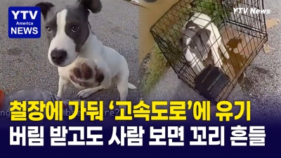 버려진 채 아무것도 모르는 강아지...경찰 다가가자 신나서 꼬리 '흔들'