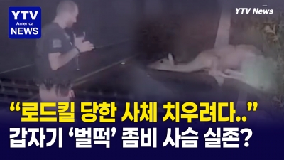 "꺄악!" 사체 치우려던 경찰이 하이톤 비명 지른 이유는...좀비사슴?